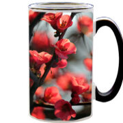 Чашка тест Awakening Spring