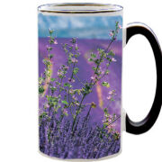 Чашка тест Lavender Field