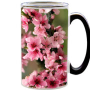 Чашка тест Вишневые Цветы