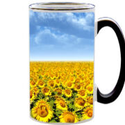 Чашка тест Подсолнухи