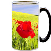 Чашка тест Мак