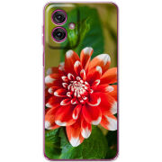 Чохол BoxFace Motorola G55 