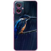 Чохол BoxFace Motorola G55 