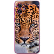 Чохол BoxFace Motorola G55 