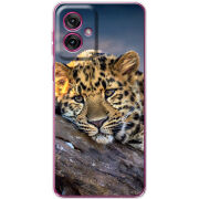 Чохол BoxFace Motorola G55 