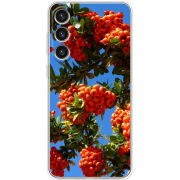 Чехол BoxFace Samsung Galaxy S25 Plus (S936) 