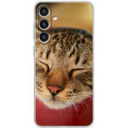 Чехол BoxFace Samsung Galaxy S25 Plus (S936) 