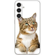Чехол BoxFace Samsung Galaxy S25 Plus (S936) 