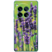 Чохол BoxFace OnePlus 12 Green Lavender