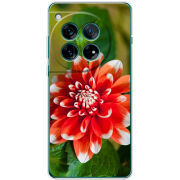 Чохол BoxFace OnePlus 12 