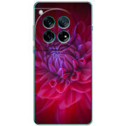 Чохол BoxFace OnePlus 12 