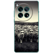 Чохол BoxFace OnePlus 12 