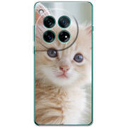 Чохол BoxFace OnePlus 12 Animation Kittens