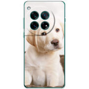 Чохол BoxFace OnePlus 12 Puppy Labrador