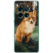 Чохол BoxFace OnePlus 12 