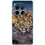 Чохол BoxFace OnePlus 12 