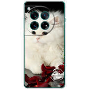 Чохол BoxFace OnePlus 12 Fluffy Cat