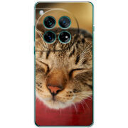 Чохол BoxFace OnePlus 12 