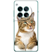 Чохол BoxFace OnePlus 12 