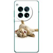 Чохол BoxFace OnePlus 12 