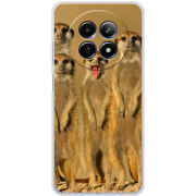 Чохол BoxFace Realme 12 5G 