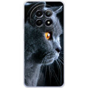 Чохол BoxFace Realme 12 5G English cat