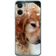 Чохол BoxFace Motorola G05 Golden Retriever