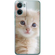Чохол BoxFace Motorola G05 Animation Kittens