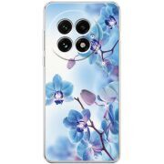 Чохол зі стразами OnePlus 13 Orchids