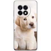 Чохол BoxFace OnePlus 13R Puppy Labrador