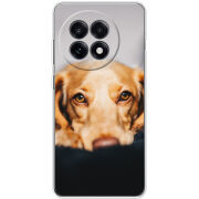 Чохол BoxFace OnePlus 13R 