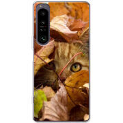 Чохол BoxFace Sony Xperia 1 IV 