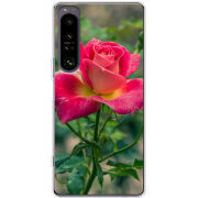 Чохол BoxFace Sony Xperia 1 IV 