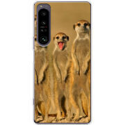 Чохол BoxFace Sony Xperia 1 IV 