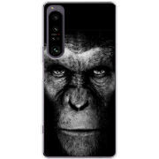 Чохол BoxFace Sony Xperia 1 IV 