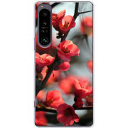 Чохол BoxFace Sony Xperia 1 IV Awakening Spring