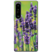 Чохол BoxFace Sony Xperia 1 IV Green Lavender