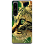 Чохол BoxFace Sony Xperia 1 IV 