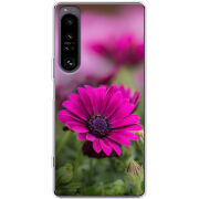 Чохол BoxFace Sony Xperia 1 IV 