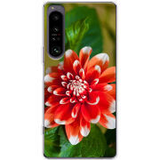 Чохол BoxFace Sony Xperia 1 IV 