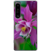 Чохол BoxFace Sony Xperia 1 IV 