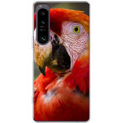 Чохол BoxFace Sony Xperia 1 IV 