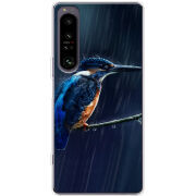 Чохол BoxFace Sony Xperia 1 IV 