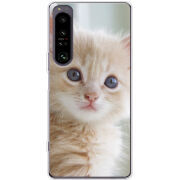 Чохол BoxFace Sony Xperia 1 IV Animation Kittens