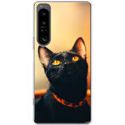 Чохол BoxFace Sony Xperia 1 IV 