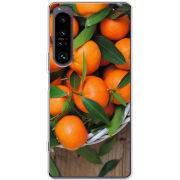 Чохол BoxFace Sony Xperia 1 IV 
