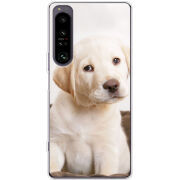 Чохол BoxFace Sony Xperia 1 IV Puppy Labrador