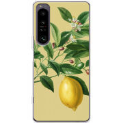 Чохол BoxFace Sony Xperia 1 IV 