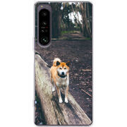 Чохол BoxFace Sony Xperia 1 IV 