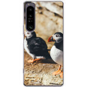 Чохол BoxFace Sony Xperia 1 IV 